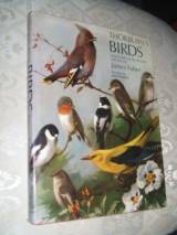 Thornburns Birds