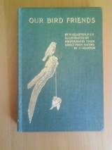 Our Bird Friends